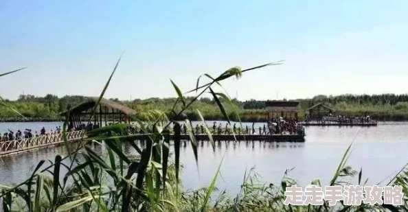 老湿地影视体验区高清资源持续更新流畅播放等你来看