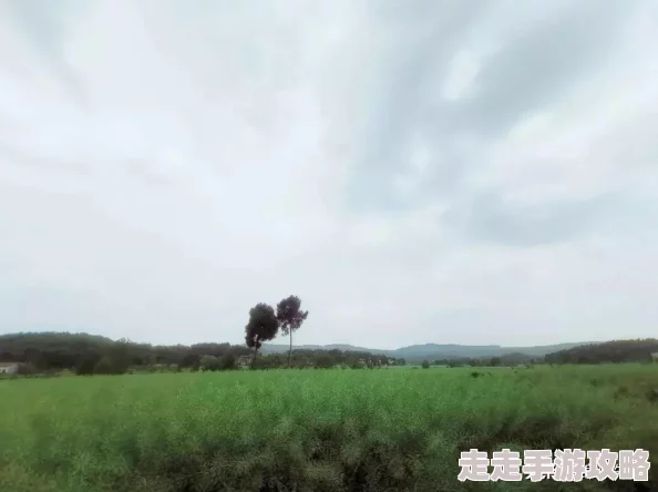 惊喜预告!帮派秘境新玩法即将上线,大唐游仙记帮派系统全面详解揭秘 惊喜预告!帮派秘境新玩法即将上线,大唐游仙记帮派系统全面详解揭秘