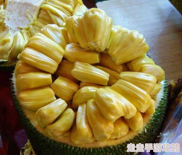 亚精产品一三三三菠萝蜜现已开放预购,预计九月中旬正式发货,首批数量有限 亚精产品一三三三菠萝蜜现已开放预购,预计九月中旬正式发货,首批数量有限