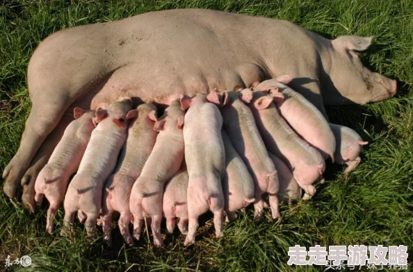 趴着被灌尿多人play运动视频资源更新至第五部新增多个场景和角色 趴着被灌尿多人play运动视频资源更新至第五部新增多个场景和角色