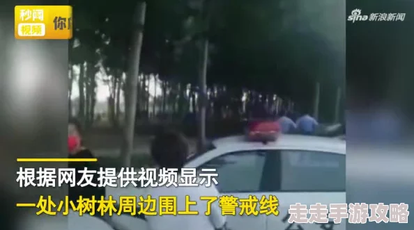 被拉进小树林CAO翻了事件后续警方已介入调查并将约谈相关人员 被拉进小树林CAO翻了事件后续警方已介入调查并将约谈相关人员