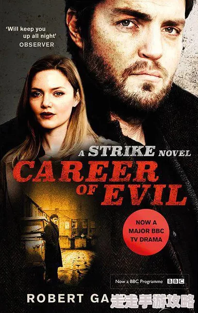 偷性小说斯特莱克探案集第二季勇敢追寻真相成就美好人生