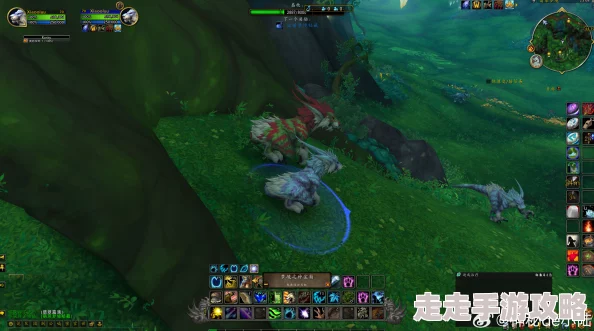 德鲁伊50职业任务详细步骤翡翠梦境之路开启新的试炼等待你的加入