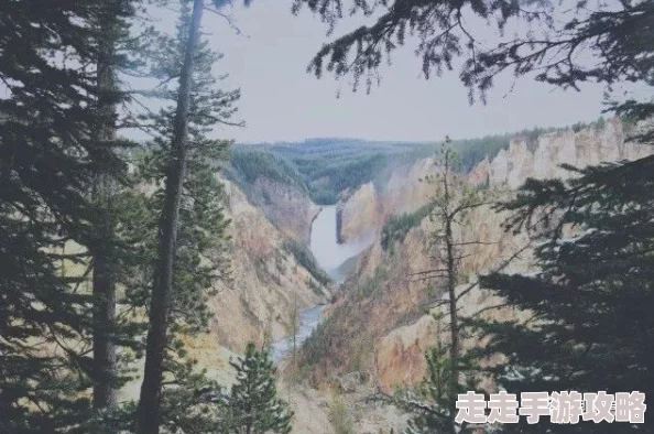 弃妃绝爱大隐于市心怀梦想勇敢追求生活的美好与希望 弃妃绝爱大隐于市心怀梦想勇敢追求生活的美好与希望