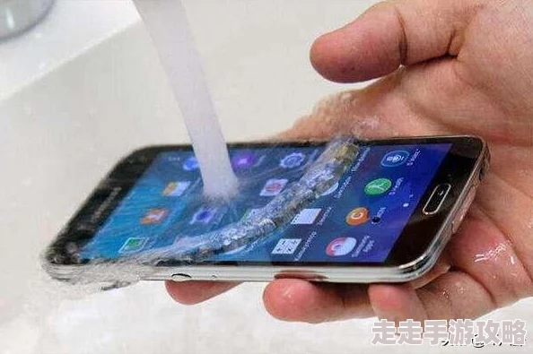 国产理论在线研究取得新进展