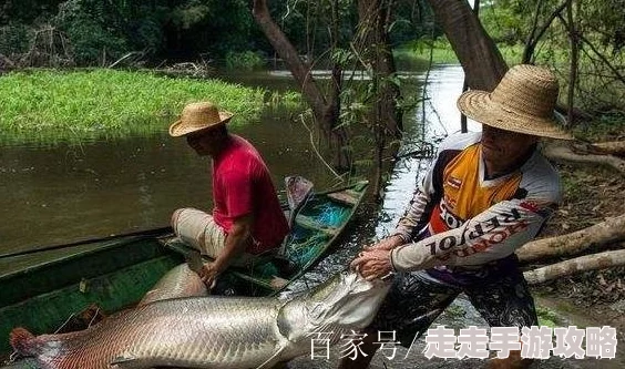 吊逼鱼类灭绝我靠养鱼迎娶白富美绿色发展共创美好未来