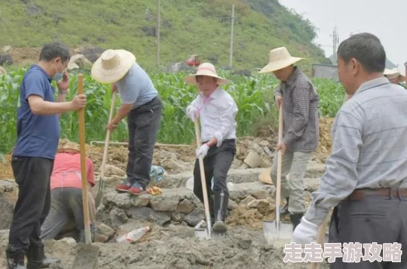 儿耕妈荒废的田村民帮助下复垦播种已获初步收成 儿耕妈荒废的田村民帮助下复垦播种已获初步收成