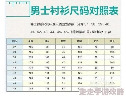 欧洲尺码和中国尺码对照表探索不同品牌和服装类型的尺码差异及转换技巧