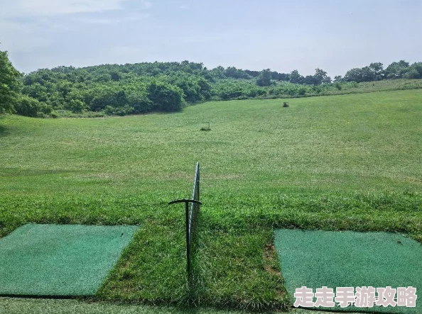 心悦直播下载app开启精彩直播之旅体验高清流畅互动娱乐