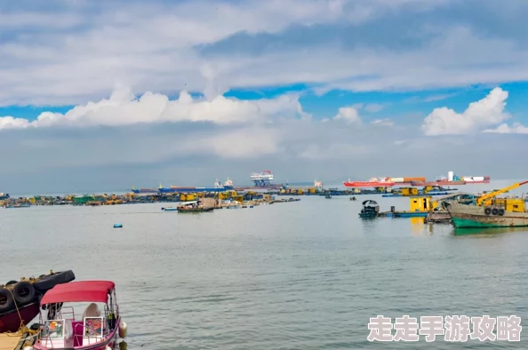 心悦直播下载app开启精彩直播之旅体验高清流畅互动娱乐