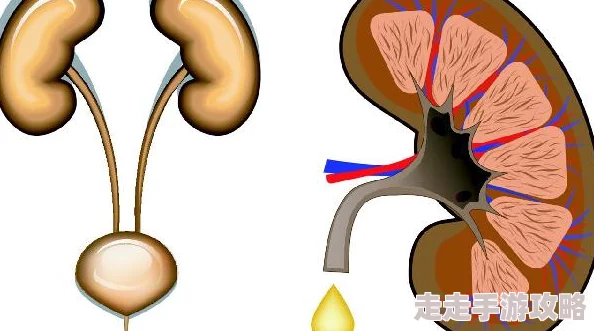 别揉了别揉了在揉就尿出来了膀胱已达极限下一秒就要决堤了