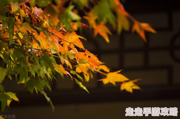 奇迹暖暖:梧桐树下的青春记忆,平民高赞搭配攻略大公开!内含惊喜新套装预告 奇迹暖暖:梧桐树下的青春记忆,平民高赞搭配攻略大公开!内含惊喜新套装预告