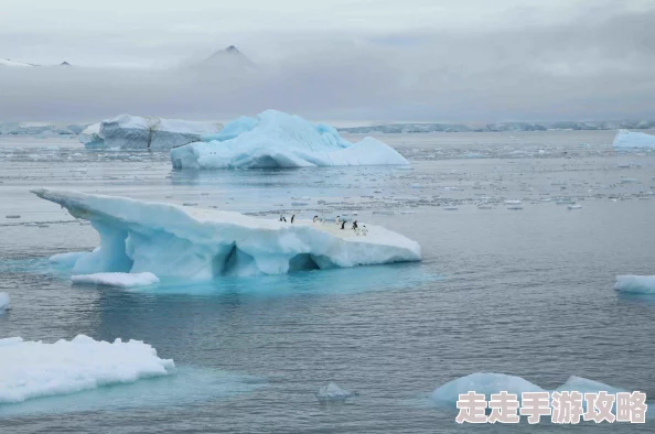 巅峰战舰穿梭冰川海峡卫星地图,惊喜发现新航道!小心驾驶,切勿撞上神秘冰山 巅峰战舰穿梭冰川海峡卫星地图,惊喜发现新航道!小心驾驶,切勿撞上神秘冰山