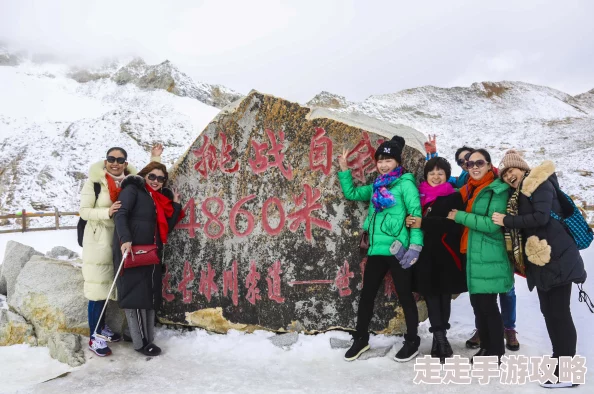 巅峰战舰穿梭冰川海峡卫星地图,惊喜发现新航道!小心驾驶,切勿撞上神秘冰山 巅峰战舰穿梭冰川海峡卫星地图,惊喜发现新航道!小心驾驶,切勿撞上神秘冰山
