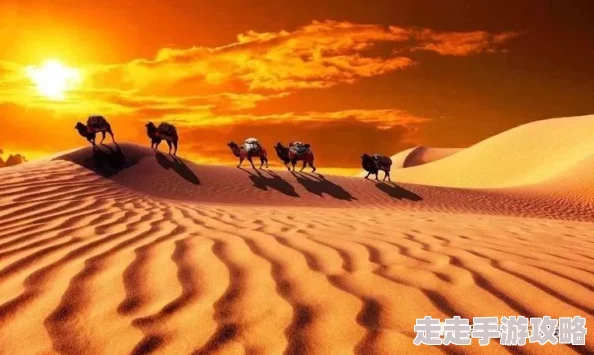在路上(旅游nph)沙漠之旅激情碰撞意外邂逅神秘部落