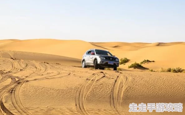 在路上(旅游nph)沙漠之旅激情碰撞意外邂逅神秘部落