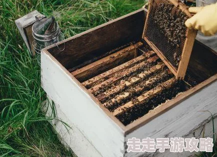 992人人tv七袋米播撒希望与温暖携手共创美好未来