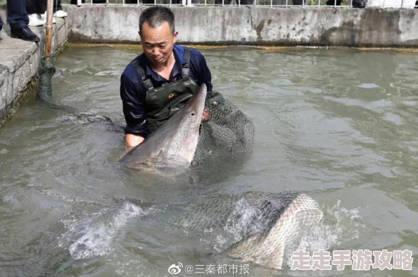 好多水好爽原标题好多鱼好大水好深平台抽成高主播难生存