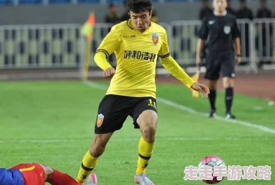 黑土腿法娴熟脚法小说原名《东北黑土足球传奇》讲述乡村少年足球梦想