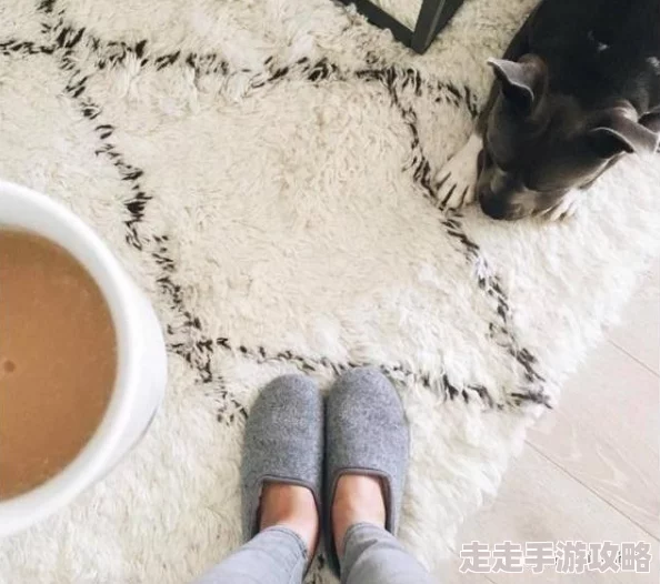 复古经典毛茸茸拖鞋穿上就是冬天里的小可爱