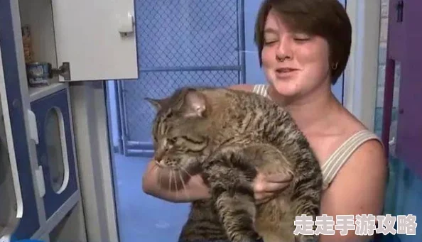 宫部凉花被曝曾匿名捐款百万资助流浪动物收容所