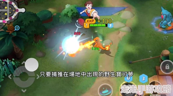 宝可梦大集结新爆料：水箭龟玩法攻略与技能解析