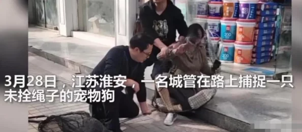偷拍老妇女公厕撒尿视频曝光者已被警方逮捕视频已删除严惩偷拍犯罪