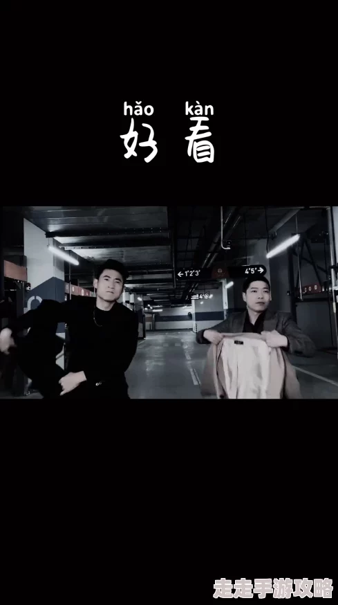 少妇作爱片视频