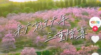 国内精品久久久久影院薰衣草内容审查与传播伦理的探讨及其对网络文化的影响