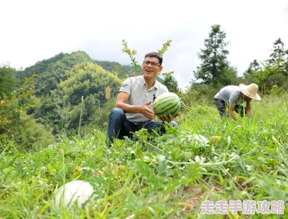 农业现代化关键是农业科技现代化探索农业科技创新驱动发展之路