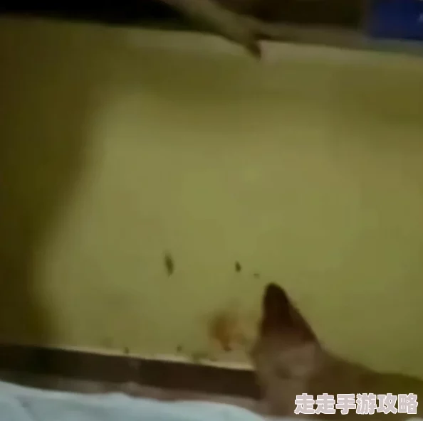 武器A没有马赛克分析称视频经过特殊处理技术还原了部分画面细节