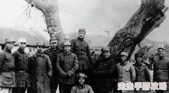 2024高品质神枪手游戏大揭秘：趣味横生新作盘点与独家爆料