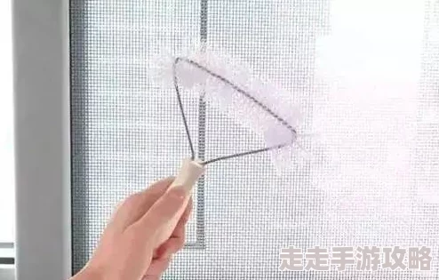 落不下txt完整版全文免费阅读