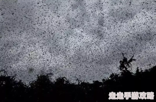 人类是如何交配的动画讲解揭秘两性繁殖奥秘趣味科普