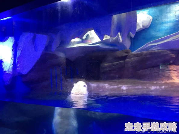 拳皇97各版本熊爪技能按键揭秘：键盘、手机与街机版全爆料
