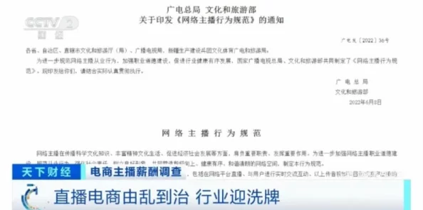 中文字幕公司内部员工爆料翻译质量下降竟是因为拖欠工资导致人才流失