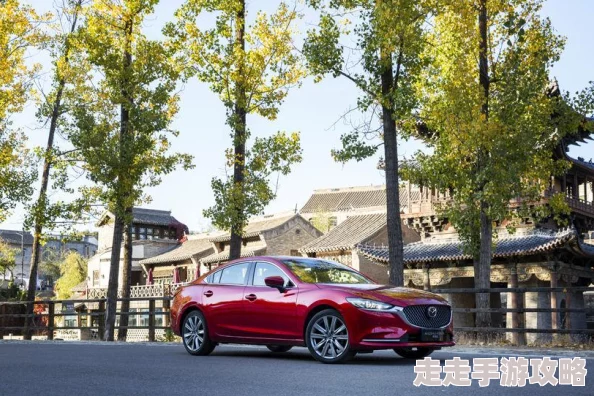 人马性Zoom开发暂停项目搁置期限未定