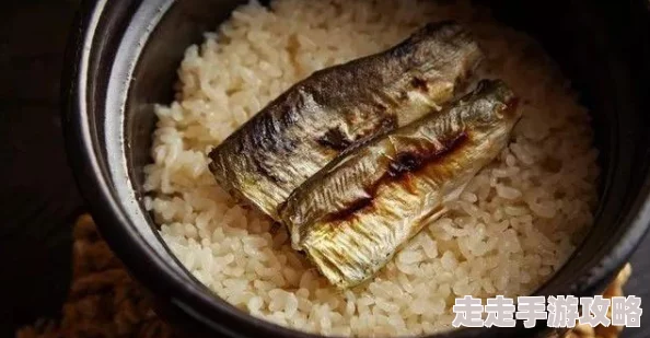 野花日本大全免费观看直播画面清晰流畅内容精彩