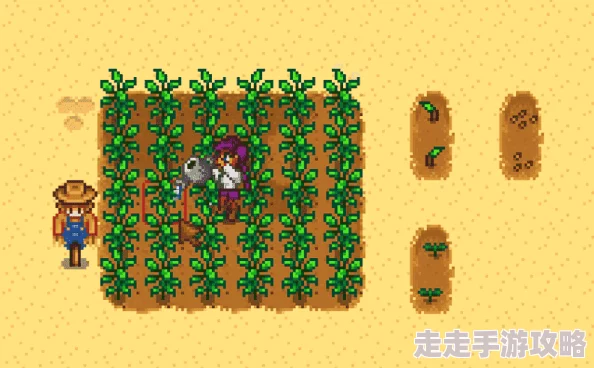 星露谷物语：甜瓜与蓝莓之争，哪个作物更胜一筹？