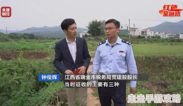 真人强 112分钟国产农村  为何其充满乡土气息的画面令人倍感亲切
