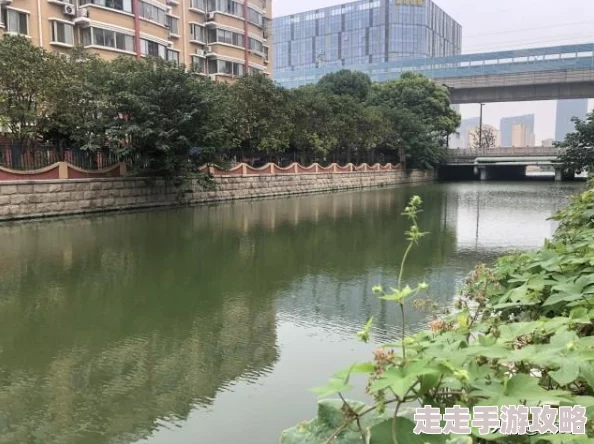 粉色苏州晶体因其梦幻般的色彩和独特的晶体结构而备受瞩目