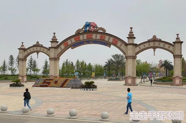 天堂在线为什么操作简单易上手为何老少皆宜