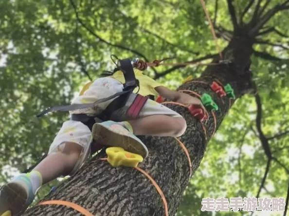 天堂在线为什么操作简单易上手为何老少皆宜
