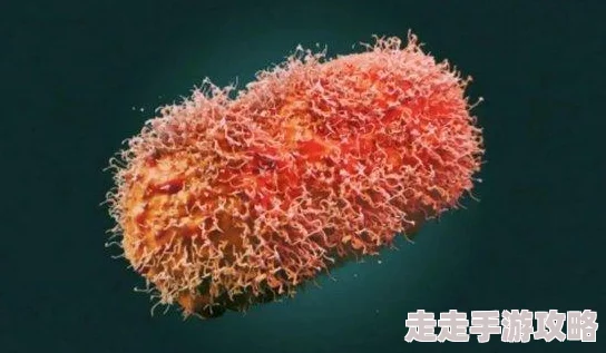 天天射天天干为什么能够快速传播为何其迎合了部分群体的表达需求