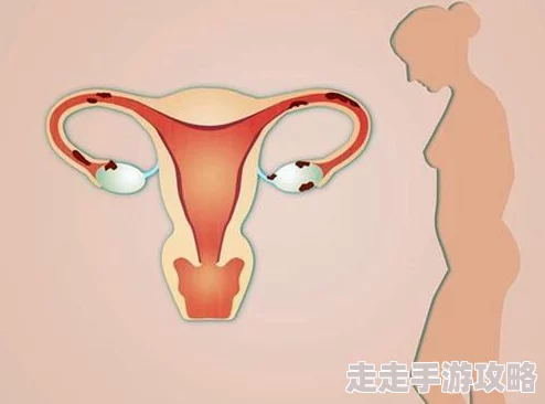 公猪钻入女人子宫会怎么样为何会对这种生理禁忌的内容感到好奇