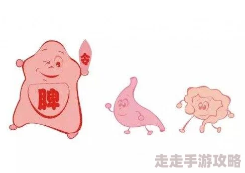 公猪钻入女人子宫会怎么样为何会对这种生理禁忌的内容感到好奇