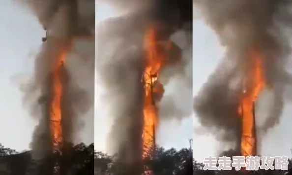 人人草人人因为在网络平台快速传播形成病毒式扩散因此火爆 人人草人人因为在网络平台快速传播形成病毒式扩散因此火爆