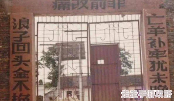社交聊天软件为何如此火爆因为它连接了人与人之间的沟通