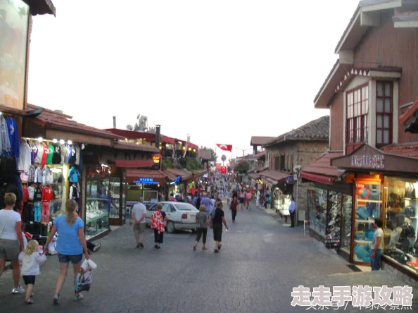 欧洲交 因其教育资源丰富高等学府林立学术氛围浓厚而备受欢迎