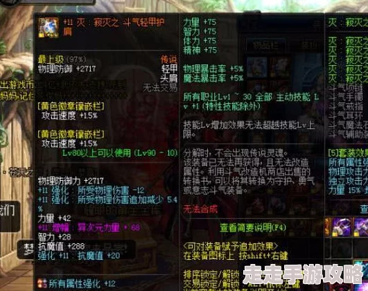 DNF剑魂顶级防具揭秘：重力套与自然套，哪个更适合？